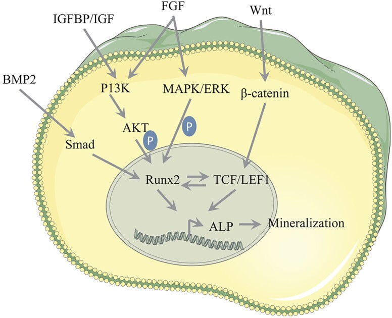 Figure 5.