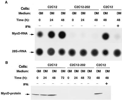 FIG. 4