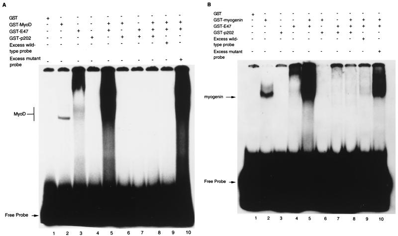 FIG. 9