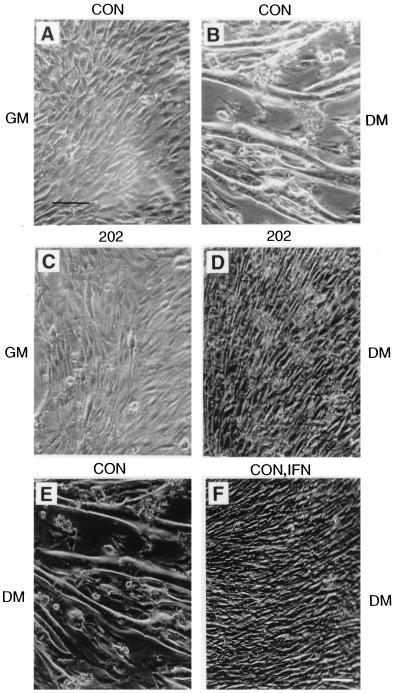 FIG. 7