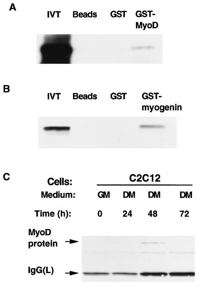 FIG. 8