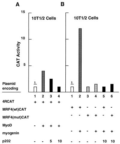 FIG. 6