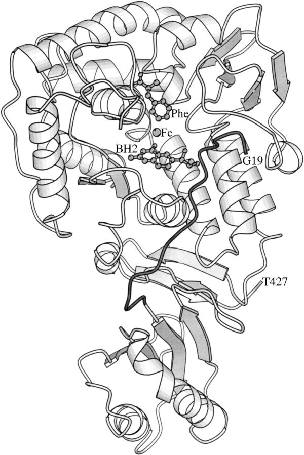 Fig. 1.