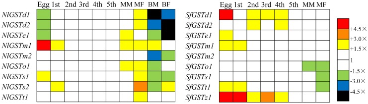 Figure 7