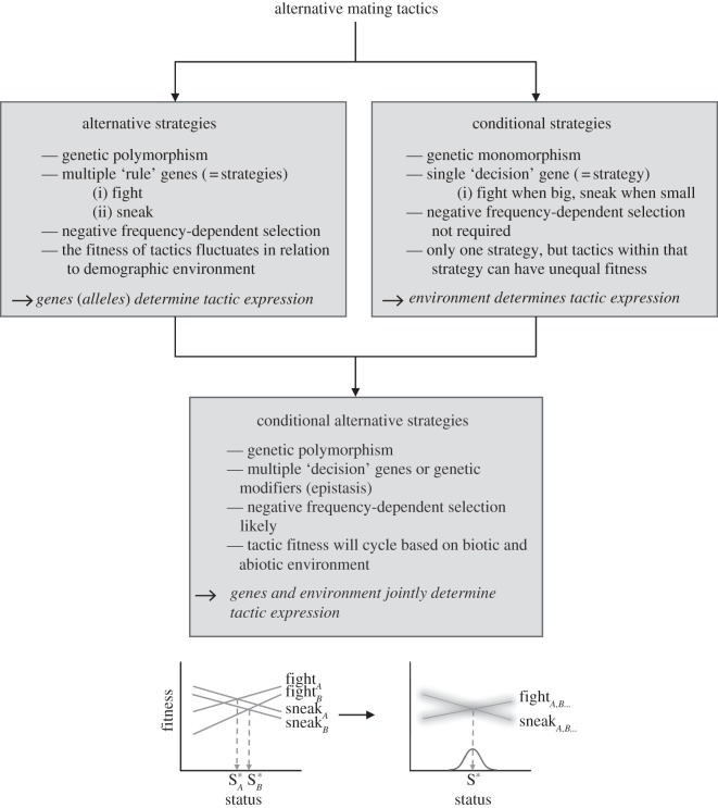 Figure 2.