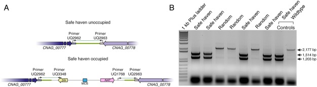 Fig 3