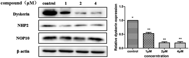 Figure 7.