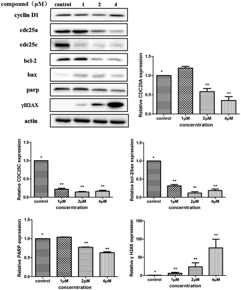 Figure 6.