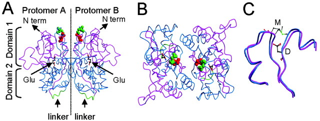 Figure 7.