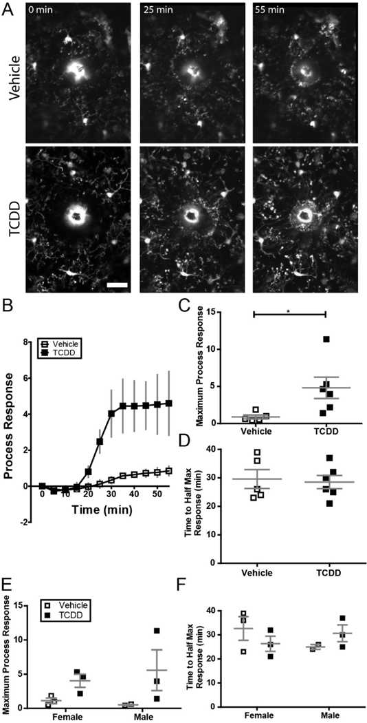 Figure 7.