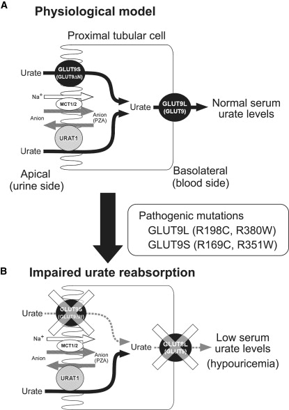 Figure 6