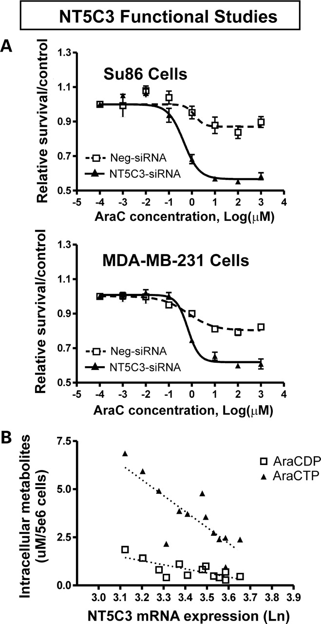 Figure 3.