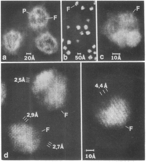 graphic file with name pnas00003-0230-a.jpg