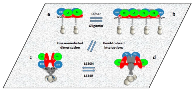 Figure 11