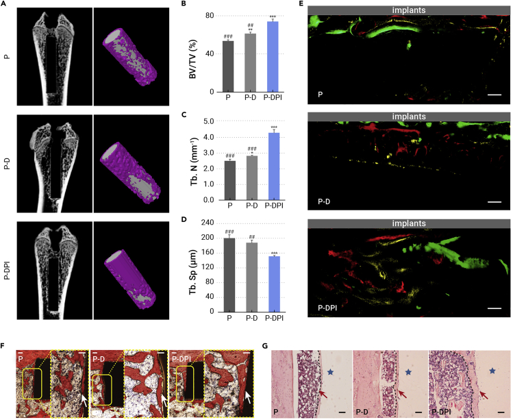 Figure 6