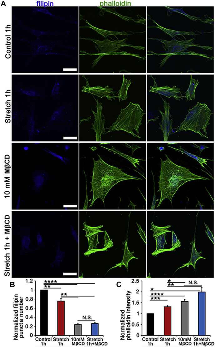 Fig. 6