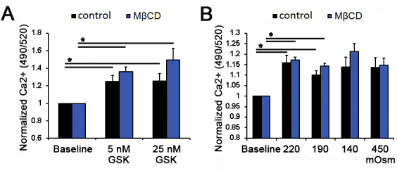 Supplemental Fig. S1