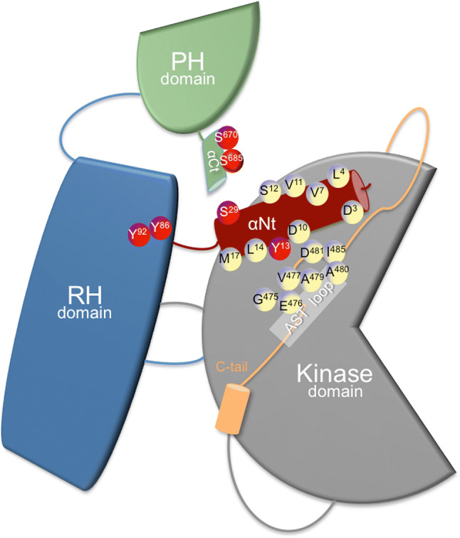 Fig. 1