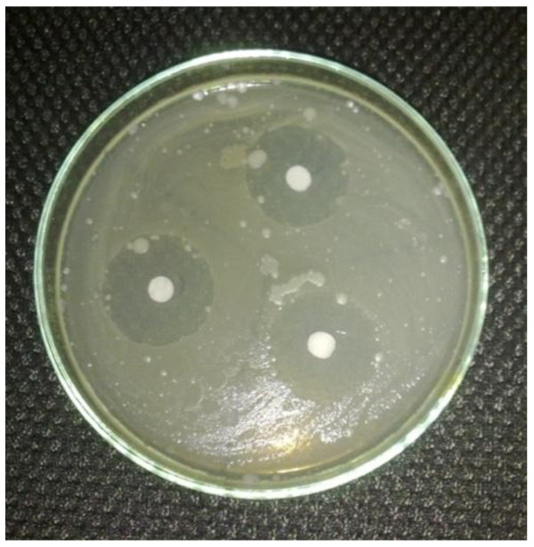 Figure 6