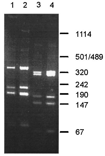 FIG. 5