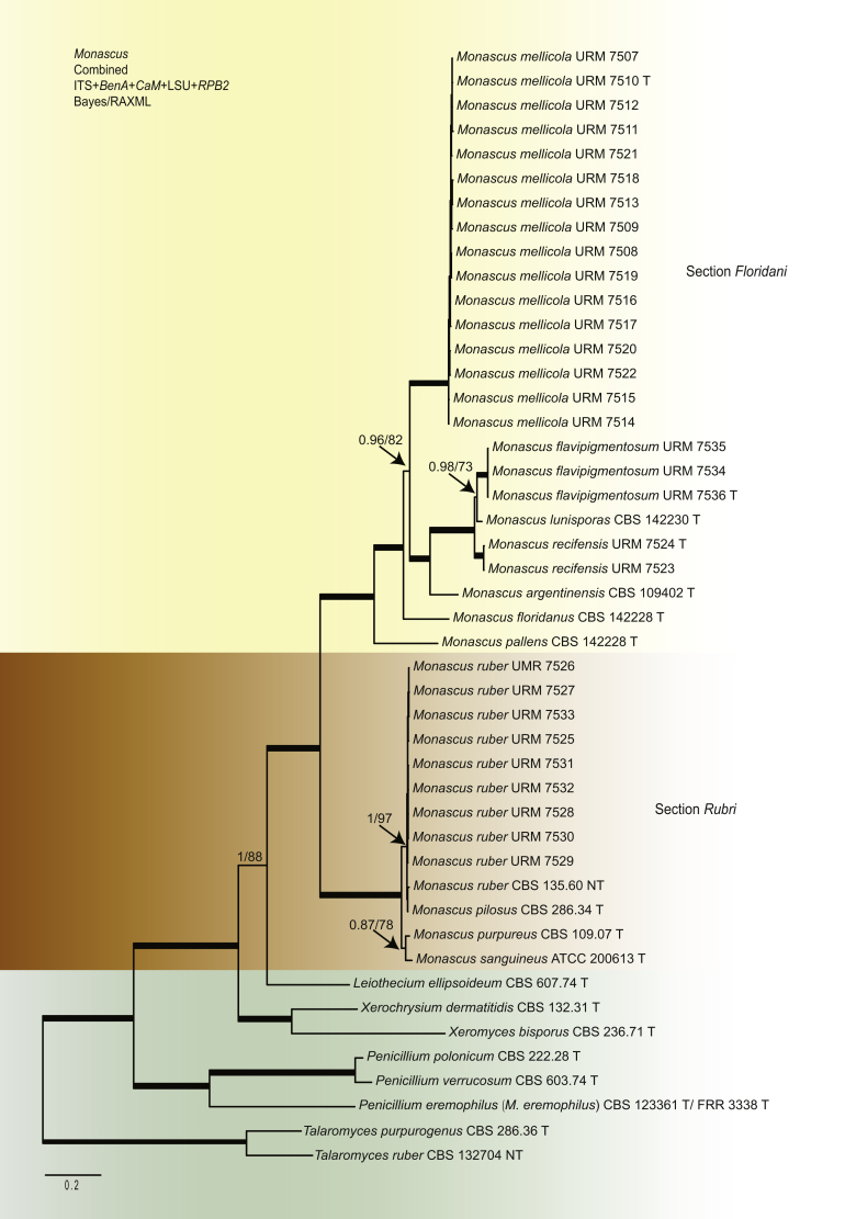 Fig. 1