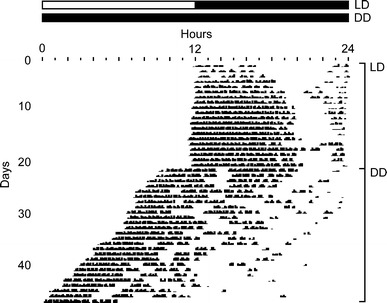 Fig. 1