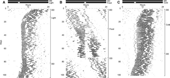 Fig. 2