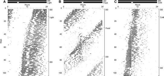 Fig. 3