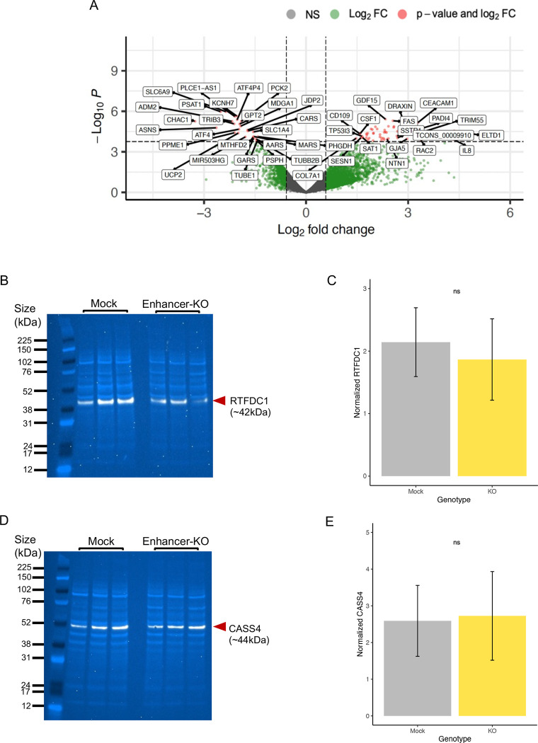 Figure 3: