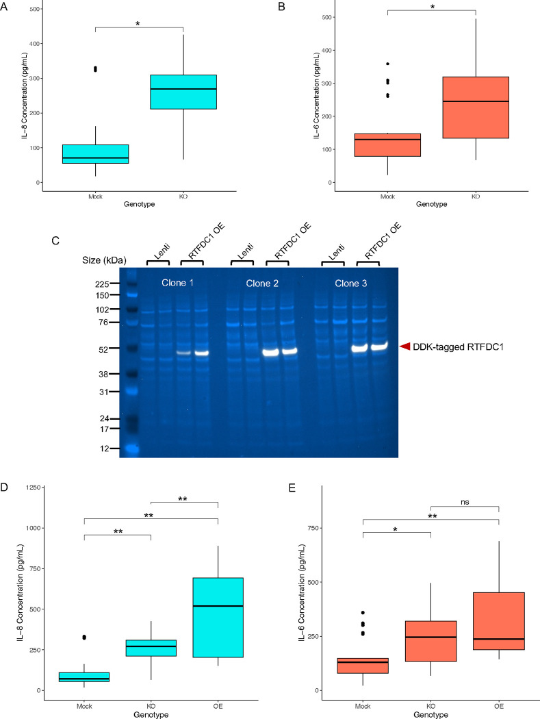 Figure 4: