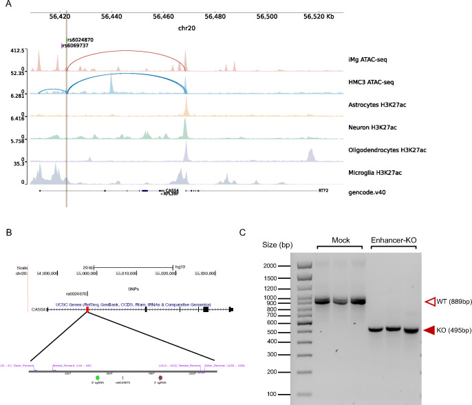 Figure 2: