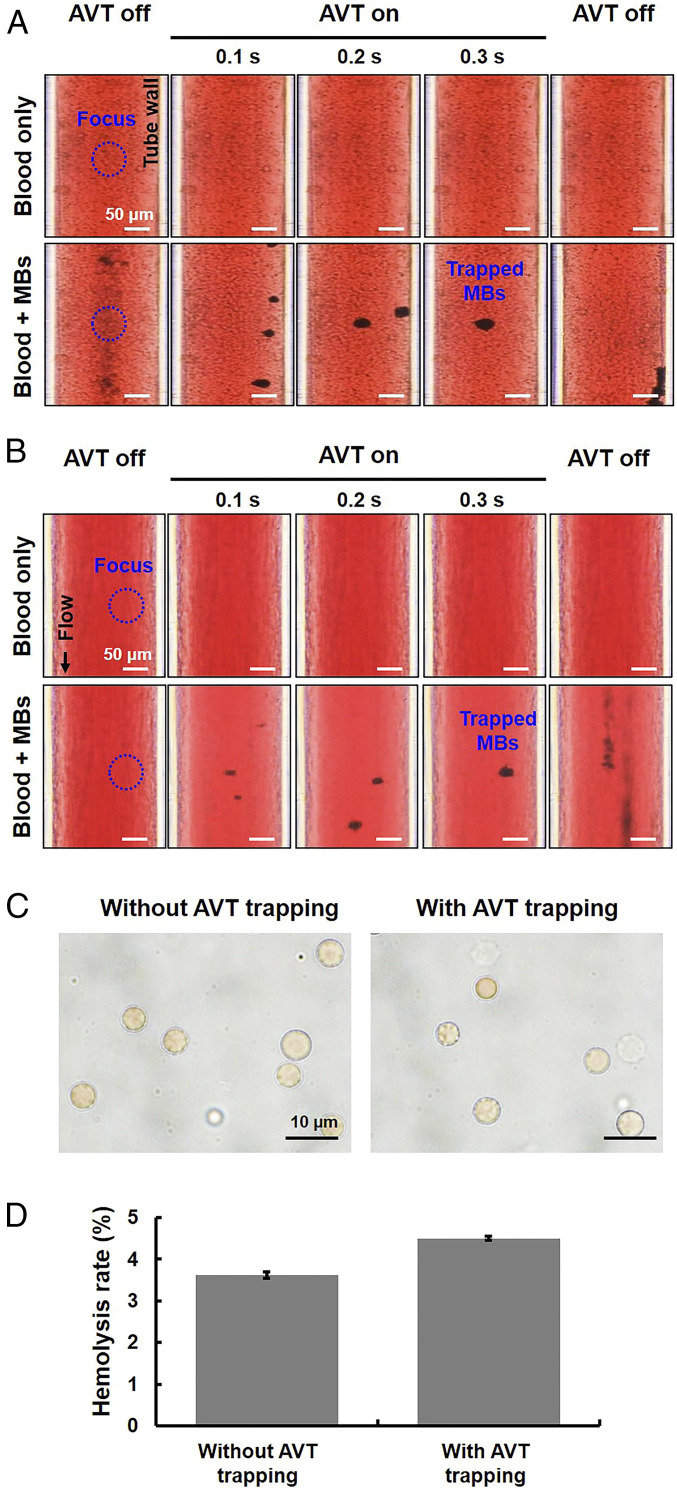 Fig. 7.