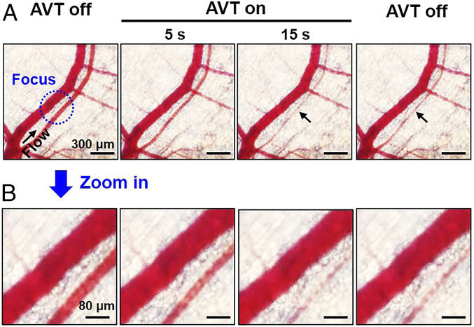 Fig. 9.