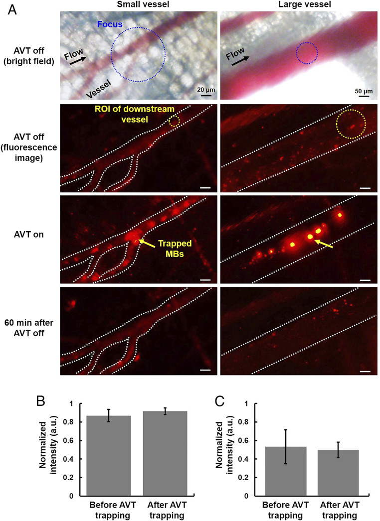 Fig. 10.