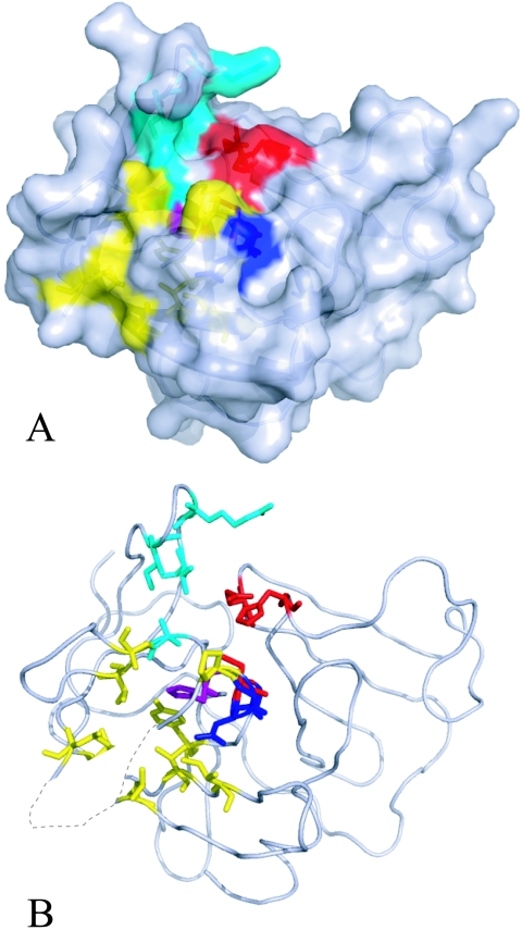 FIG. 5.