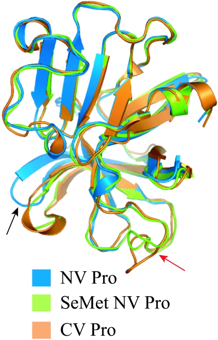 FIG. 6.