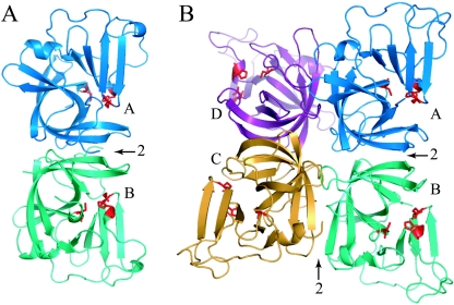 FIG. 3.