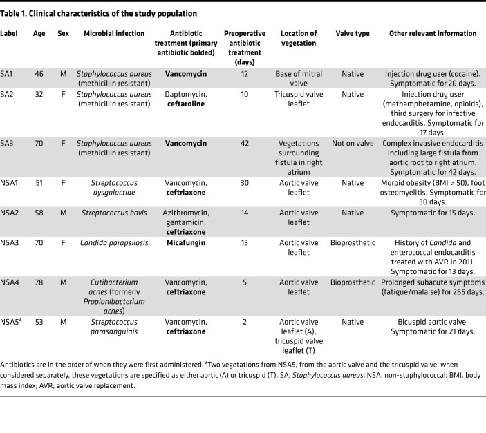 graphic file with name jciinsight-5-135317-g029.jpg