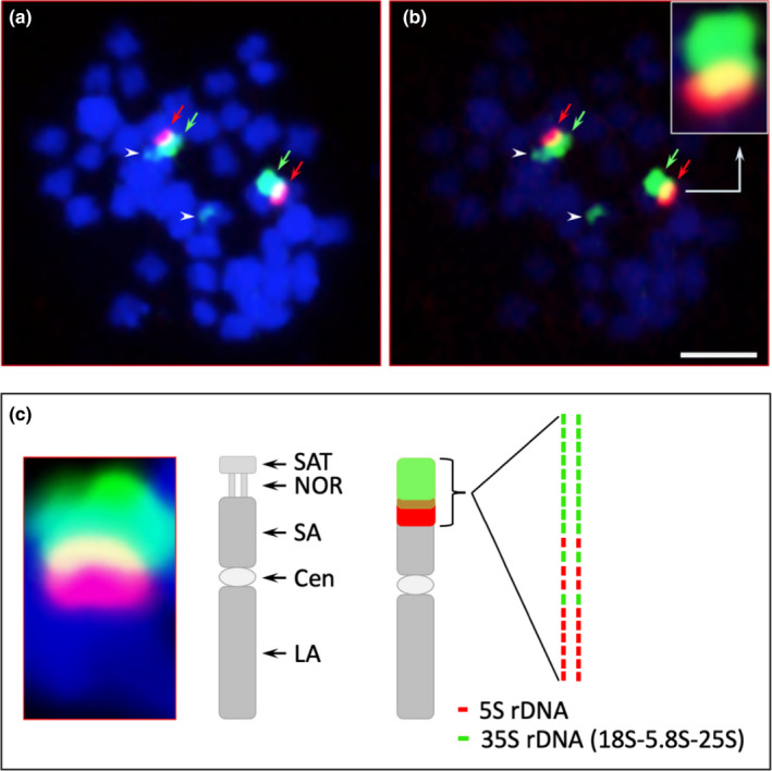 FIGURE 2