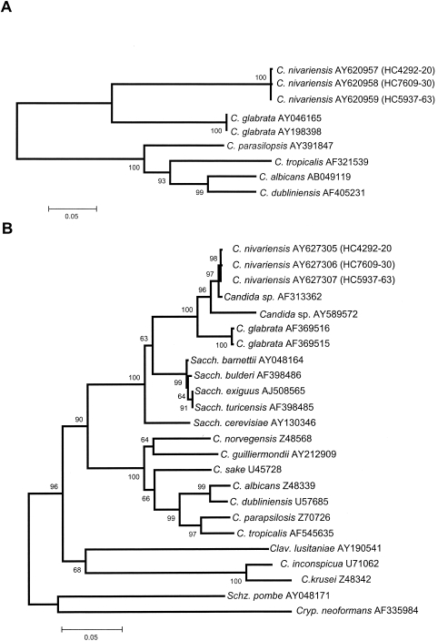 FIG. 3.