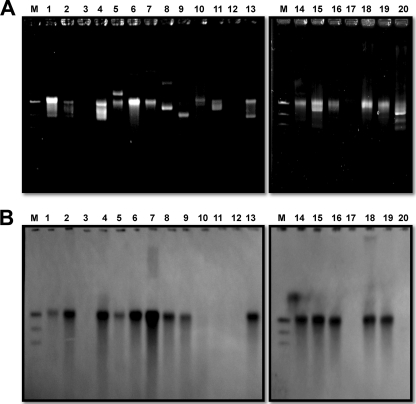 FIG. 3.