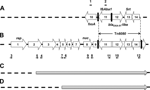 FIG. 2.