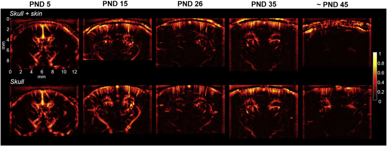 Fig. 4