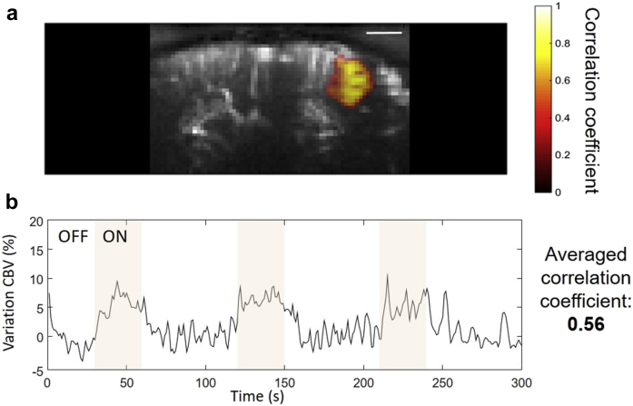 Fig. 7