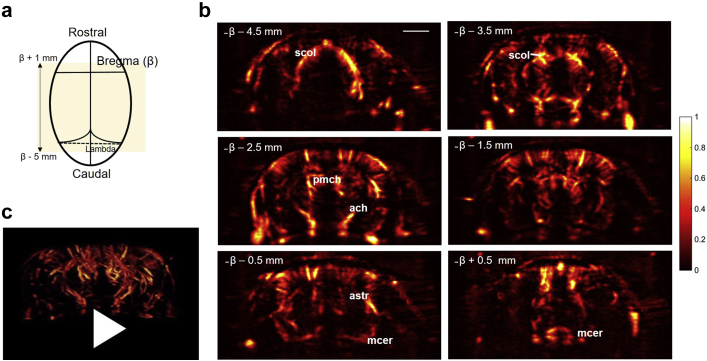 Fig. 2