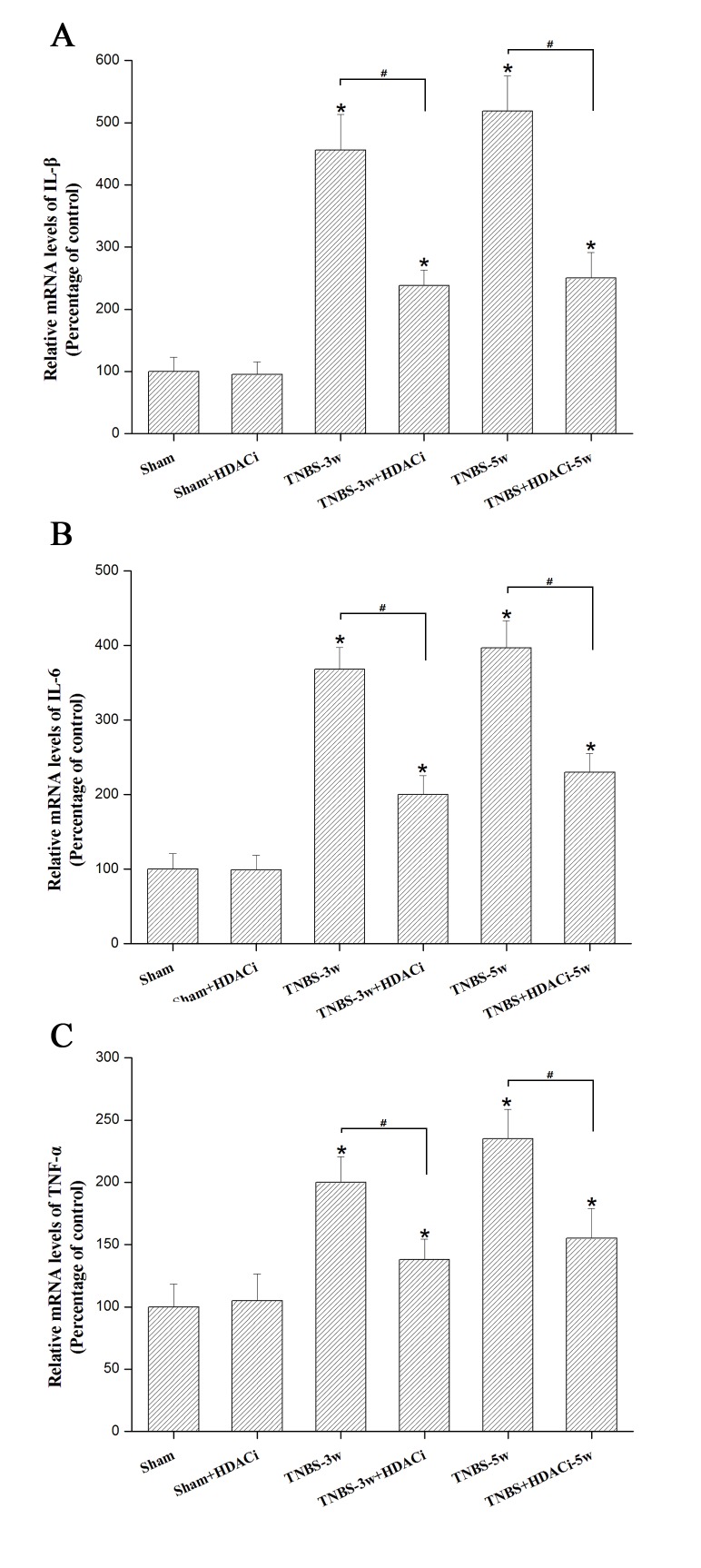 Figure 5.