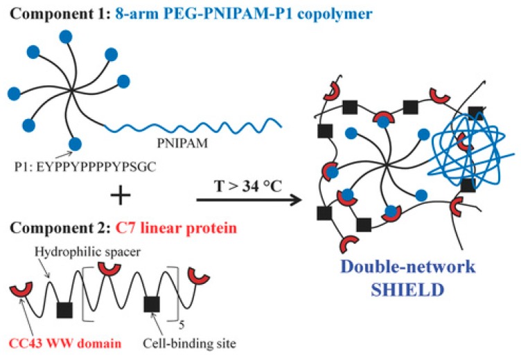 Figure 14