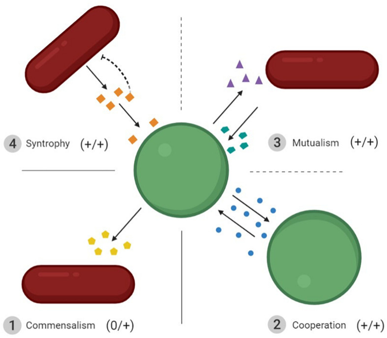 FIGURE 2