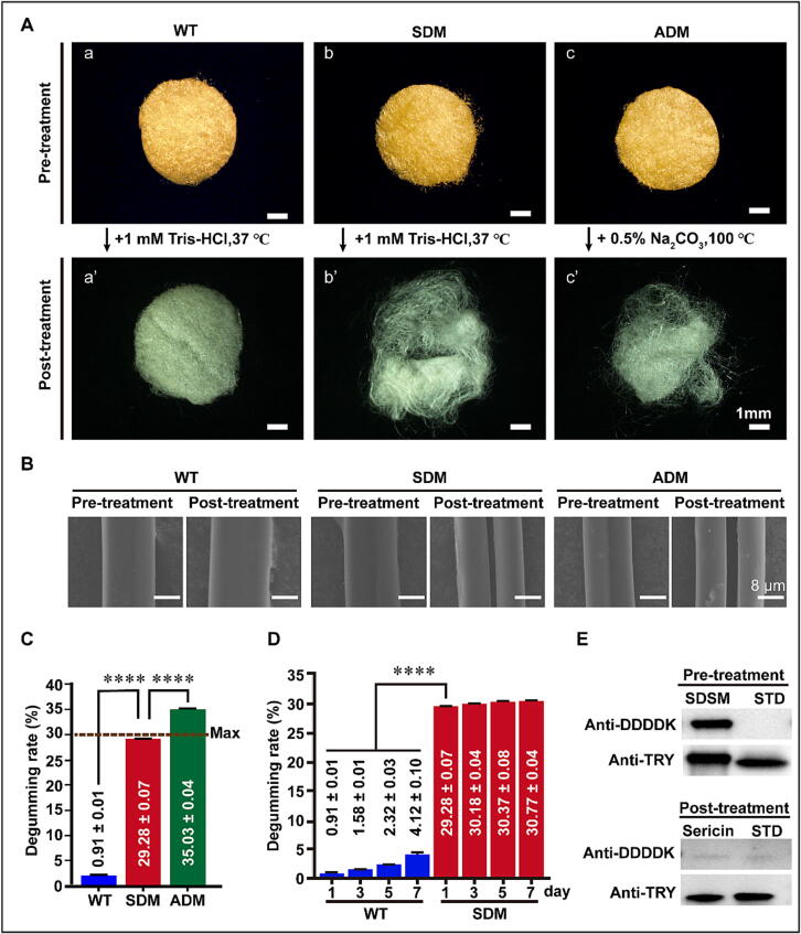 Fig. 2