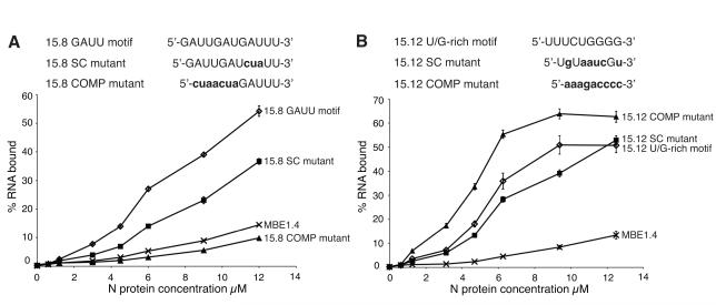 FIGURE 3